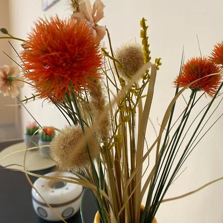 公寓 Perla South 茨雷沃